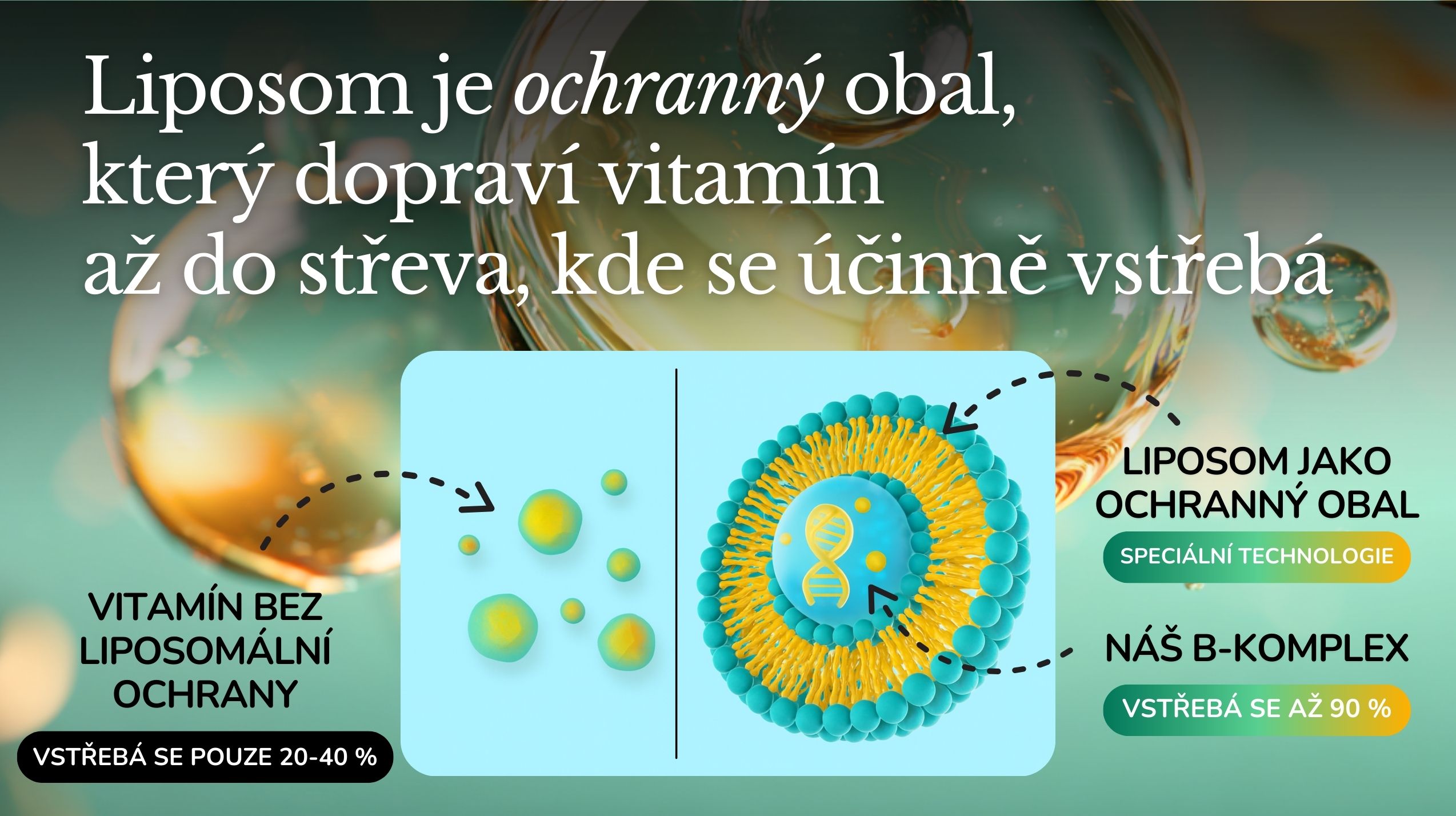 aktivní liposomální b-komplex profibio -6